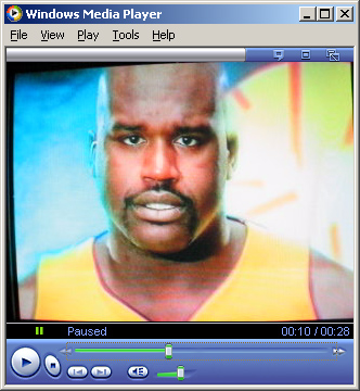 shaqrulesthepaint.jpg
