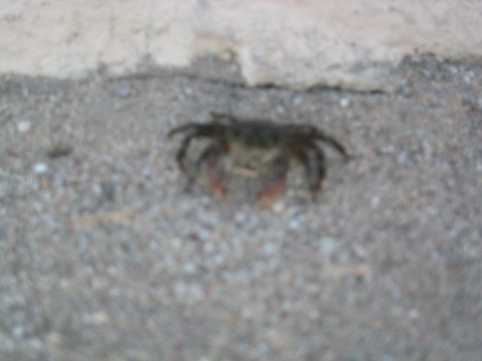 This image has been resized